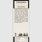 Ежевика "Блэк Джем", 1 шт, туба, Весна 2025 - Фото 2