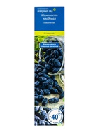 Жимолость «Павловская», саженец, 1 шт., туба - Фото 2