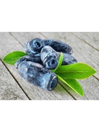 Жимолость плодовая Люкс Лавина (Кэнди Блю) 1 шт., туба, Весна 2026  (артикул 9581954)  большой выбор товаров оптом и в розницу по низким ценам с доставкой