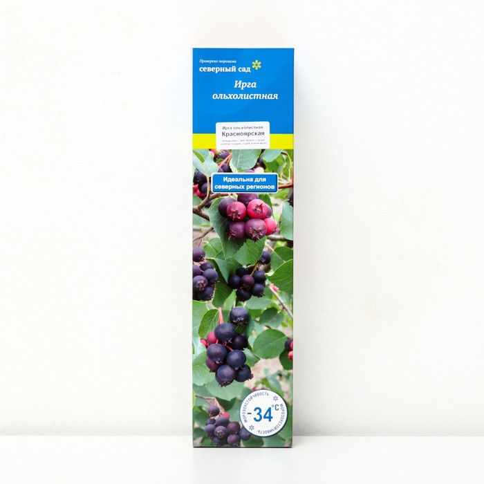 Ирга канадская (Северный Сад) Красноярская 1 шт., туба, Весна 2026