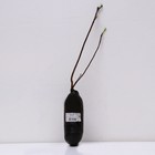 Ирга ольхолистная (Серия Северный Сад) "Смоки", 1 шт, туба, Весна 2026 9581964