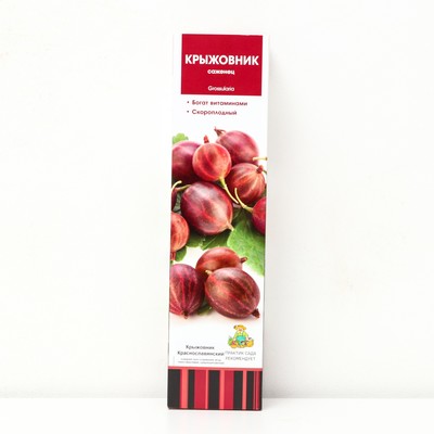 Крыжовник Краснославянский 1 шт., туба, Весна 2026