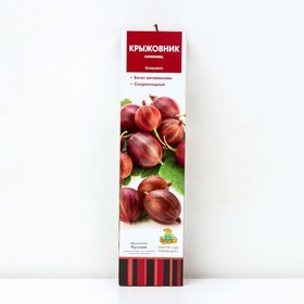 {{photo.Alt || photo.Description || 'Крыжовник "Русский", 1 шт, туба, Весна 2026'}}