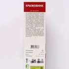 Крыжовник «Сенатор», 1 шт., туба - Фото 2