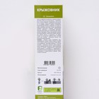 Крыжовник Снежана 1 шт., туба, Весна 2026 - Фото 2