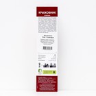 Крыжовник "Спайнфри ", 1 шт, туба, Весна 2025 - Фото 2