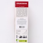 Крыжовник «Хиннонмаен Пунайнен», саженец, 1 шт., туба - Фото 2