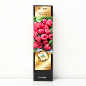 {{photo.Alt || photo.Description || 'Малина перспективные сорта "Прелесть ", 1 шт, туба, Весна 2026'}}