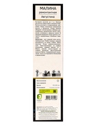 Малина ремонтантная (серия Патио) Люкс Августина 1 шт., туба, Весна 2026  (артикул 9581996)  большой выбор товаров оптом и в розницу по низким ценам с доставкой