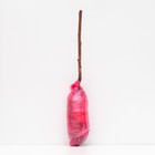 Малина ремонтантные сорта Носорог 1 шт., туба, Весна 2026  (артикул 9582009)  большой выбор товаров оптом и в розницу по низким ценам с доставкой