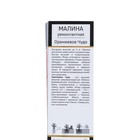 Малина ремонтантные сорта «Оранжевое Чудо», туба, 1 шт., Весна 2025 - Фото 2