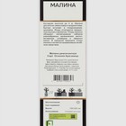 Малина ремонтантные сорта "Осенняя Красавица", 1 шт, туба, Весна 2025 - Фото 2