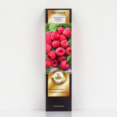 Малина ремонтантные сорта "Поляна ", 1 шт, туба, Весна 2025