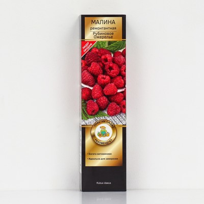 Малина ремонтантные сорта "Рубиновое Ожерелье", 1 шт, туба, Весна 2025