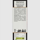 Малина ремонтантные сорта "Рубиновое Ожерелье", 1 шт, туба, Весна 2025 - Фото 2