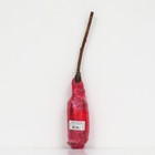 Малина ремонтантные сорта "Рубиновое Ожерелье", 1 шт, туба, Весна 2025 - Фото 3