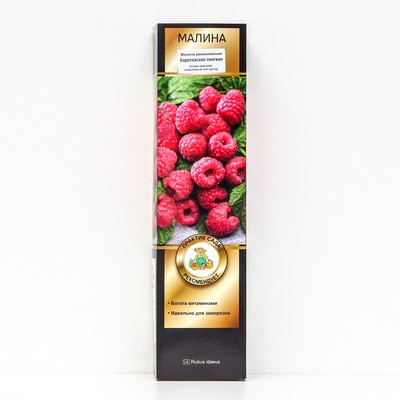 Малина ремонтантные сорта "Королевский пингвин", 1 шт, туба, Весна 2025