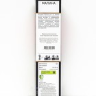 Малина ремонтантные сорта "Королевский пингвин", 1 шт, туба, Весна 2025 - Фото 2