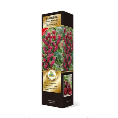 Малина ремонтантные сорта Люкс Малиновая гряда 1 шт., туба, Весна 2026