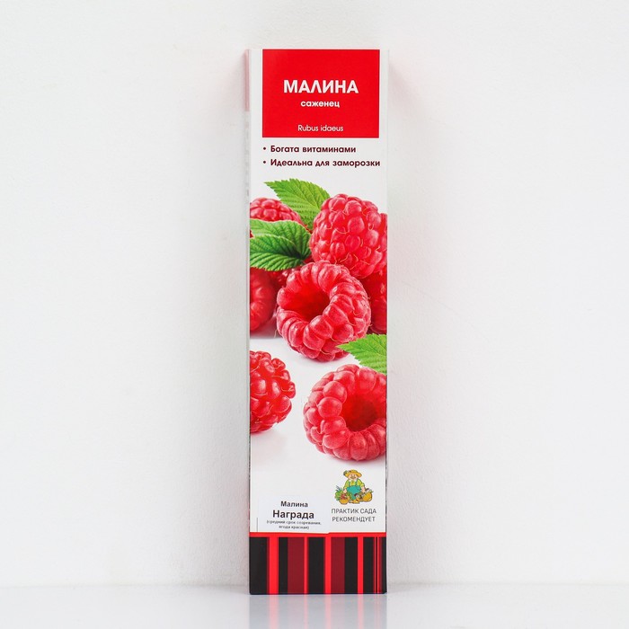 Малина традиционные сорта Награда 1 шт., туба, Весна 2026