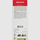 Малина традиционные сорта "Солнышко", 1 шт, туба, Весна 2025 - Фото 2