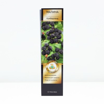 Малина черноплодные сорта Люкс "Кумберленд", 1 шт, туба, Весна 2025
