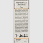 Облепиха "Гном (мужской, опылитель)", 1 шт, туба, Весна 2025 9582036 - фото 4336981