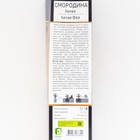 Смородина белая «Белая Фея», перспективные сорта, саженец, 1 шт., туба - Фото 2