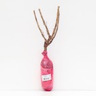 Смородина белая «Белая Фея», перспективные сорта, саженец, 1 шт., туба - Фото 3