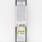 Смородина белая «Кремовая», перспективные сорта, саженец, 1 шт., туба - Фото 3