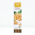 Смородина белая «Булонь белая», традиционные сорта, саженец, туба, 1 шт. - Фото 1