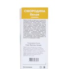 Смородина белая «Булонь белая», традиционные сорта, саженец, туба, 1 шт. 9582053 - фото 4337001