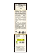 Смородина красная «Ася», перспективные сорта, саженец, туба,1 шт. - Фото 3