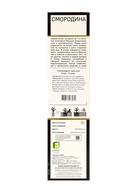 Смородина красная «Газель», перспективные сорта, саженец, туба, 1 шт. - Фото 3