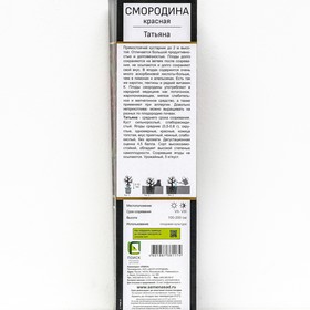 Смородина красная «Татьяна», перспективные сорта, саженец, 1 шт., туба