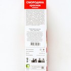 Смородина красная традиционные сорта Светлана 1 шт. туба, Весна 2026  (артикул 9582067)  большой выбор товаров оптом и в розницу по низким ценам с доставкой