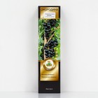 Смородина черная «Аркадия», перспективные сорта, саженец, 1 шт., туба - Фото 1