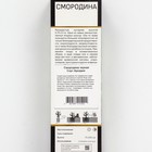 Смородина черная «Аркадия», перспективные сорта, саженец, 1 шт., туба - Фото 2