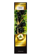 Смородина черная «Атаман», перспективные сорта, саженец, плодовый, 1 шт., туба - Фото 2