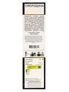 Смородина черная «Атаман», перспективные сорта, саженец, плодовый, 1 шт., туба - Фото 3