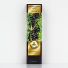 Смородина черная «Дачница», перспективные сорта, саженец, 1 шт., туба - Фото 1