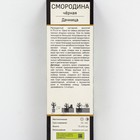 Смородина черная «Дачница», перспективные сорта, саженец, 1 шт., туба - Фото 2