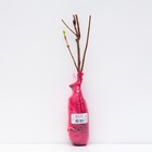 Смородина черная «Деликатес », перспективные сорта, саженец,1 шт., туба - Фото 3