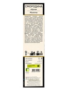 Смородина черная «Мулатка », перспективные сорта, саженец, плодовый, 1 шт., туба - Фото 3