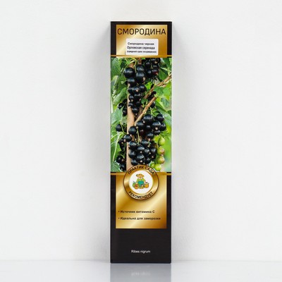 Смородина черная «Орловская серенада », перспективные сорта, саженец, 1 шт., туба