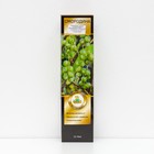 Смородина черная  (зеленоплодные) "Изумрудное ожерелье", 1 шт, туба, Весна 2024 - Фото 1
