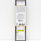 Смородина черная (зеленоплодные) «Изумрудное ожерелье», саженец, 1 шт., туба - Фото 3