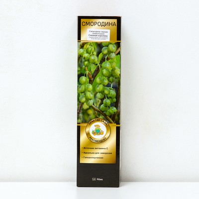 Смородина черная (зеленоплодные) «Снежная королева», саженец, 1 шт., туба