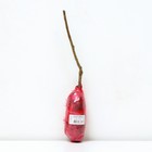 Смородина черная (зеленоплодные) «Снежная королева», саженец, 1 шт., туба - Фото 3