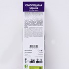 Смородина черная перспективные сорта (зеленоплодные) "Вологда ", 1 шт, туба, Весна 2024  (артикул 9582087)  большой выбор товаров оптом и в розницу по низким ценам с доставкой